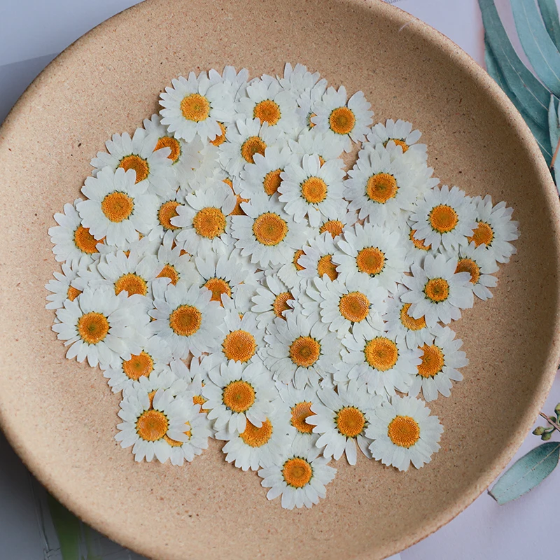 60X Pressed Dried Natural Whit - Dried Flower Bookmark recension och pris