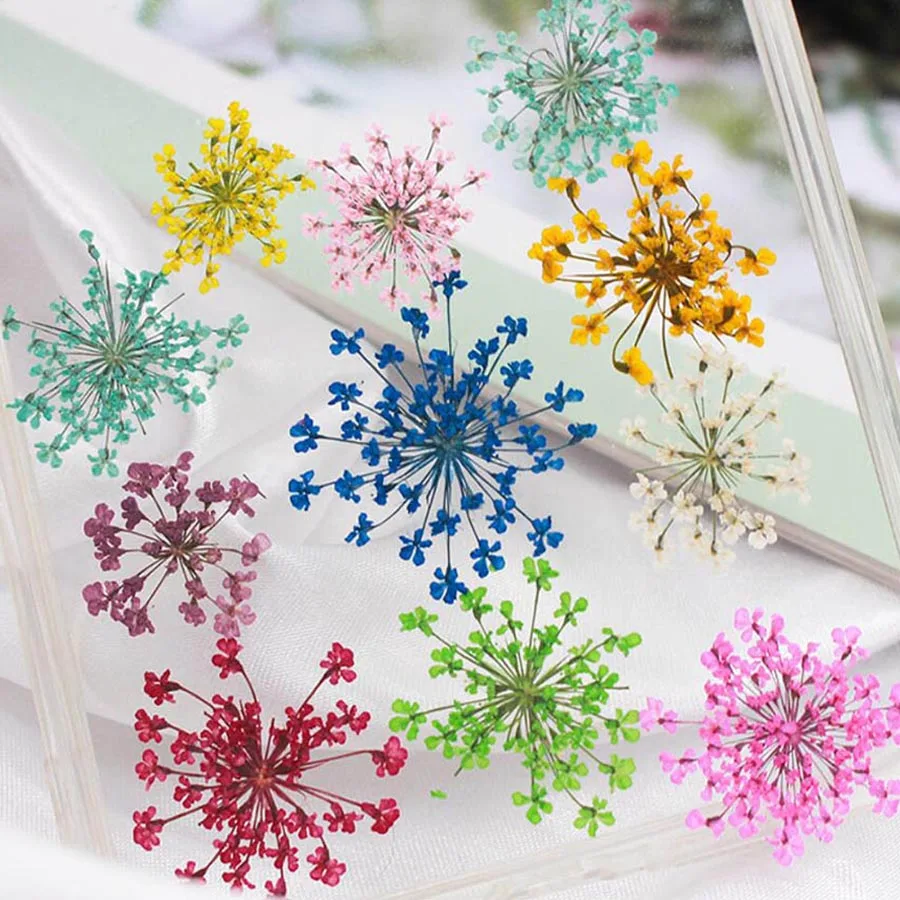 60pcs Pressed Dried 20-25mm Am - Dried Flower Bookmark recension och pris