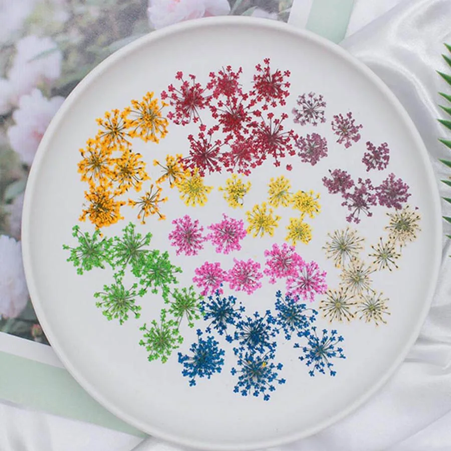 60pcs Pressed Dried 20-25mm Am - Dried Flower Bookmark recension och pris