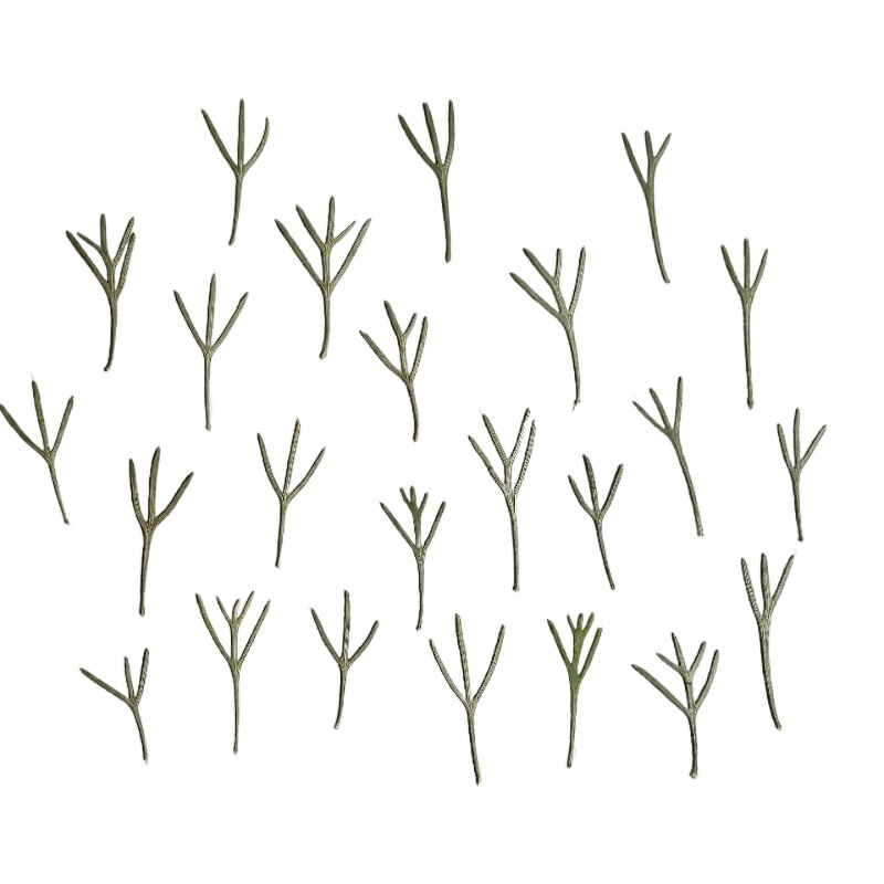 24pcs,Real Pressed Achillea Le - Dried Flower Bookmark recension och pris
