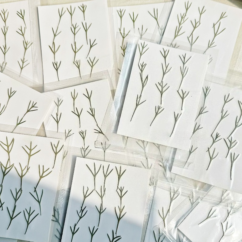 24pcs,Real Pressed Achillea Le - Dried Flower Bookmark recension och pris