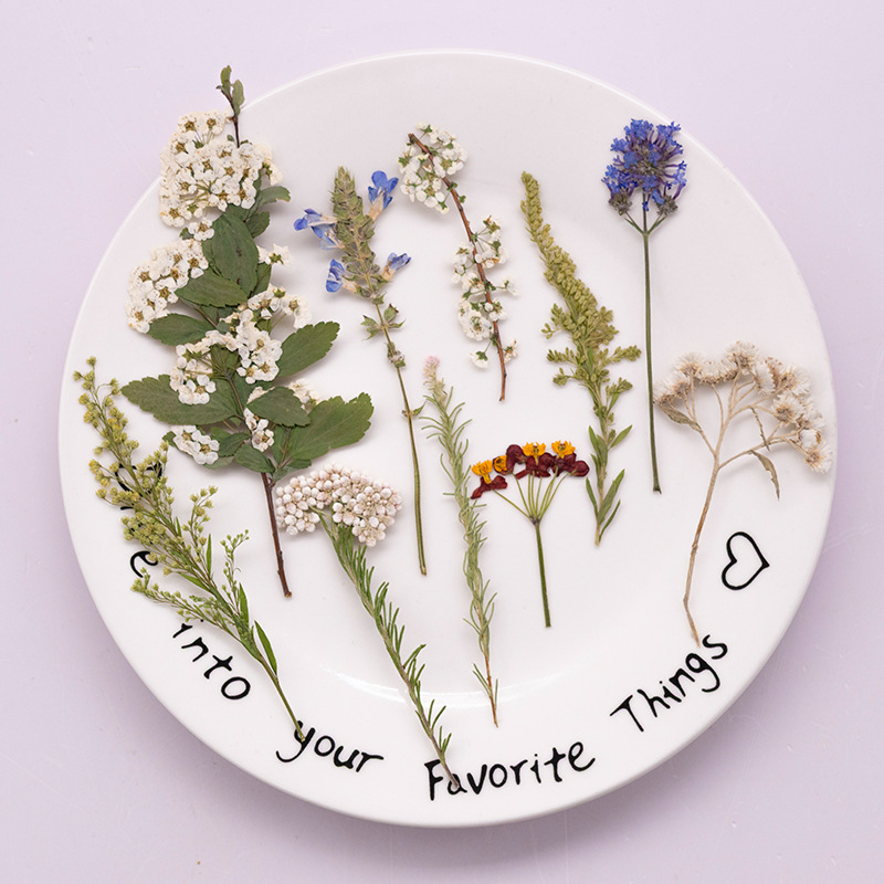 500Pcs Large Package of Fern P - Dried Flower Bookmark recension och pris