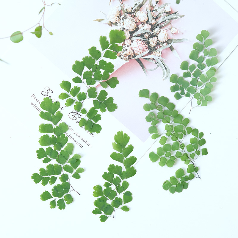 60Pcs Natural Plant Real Flowe - Dried Flower Bookmark recension och pris